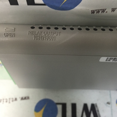 1C31219G01 Westinghouse Ethernet/IP-Kommunikationsprotokoll Servomotor